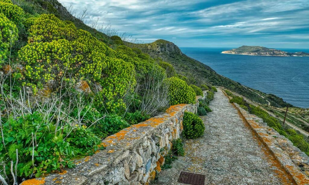 Wyspa Favignana - szlaki turystyczne